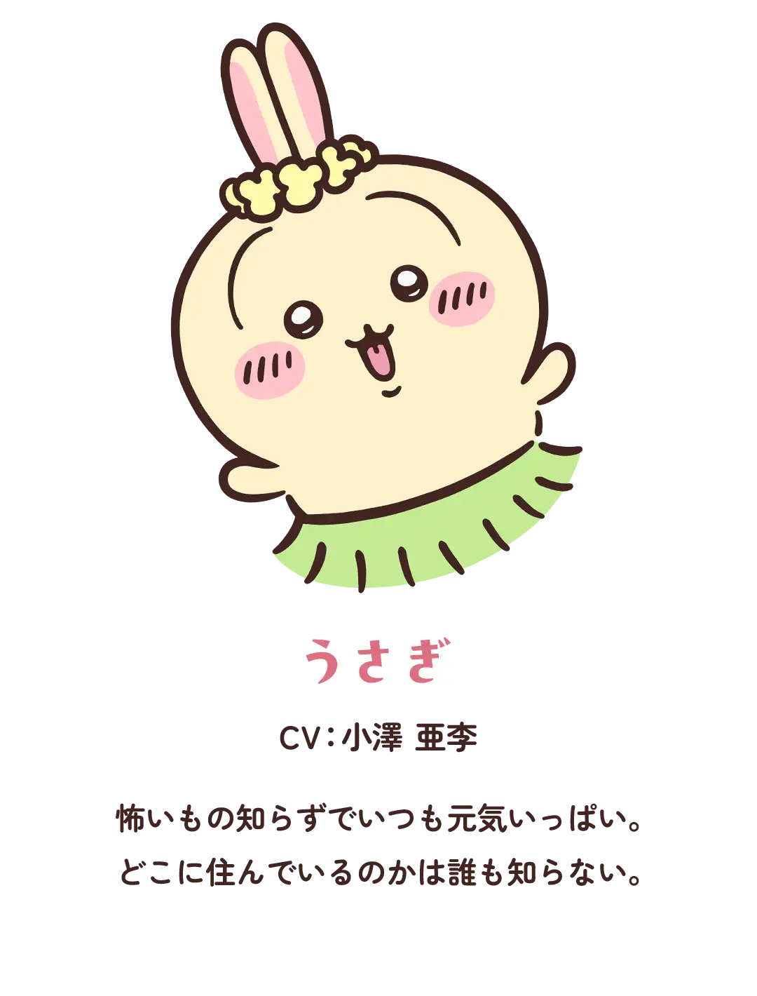 うさぎ キャラクタービジュアル
