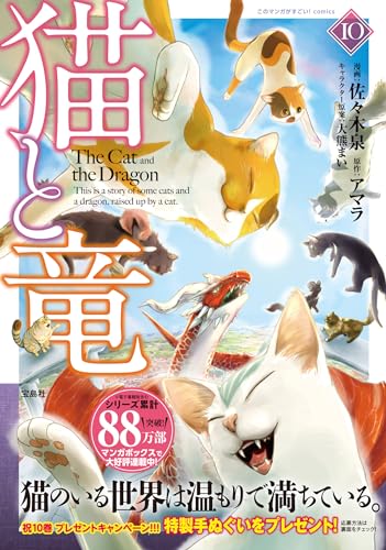 猫と竜 コミックス 10巻 表紙
