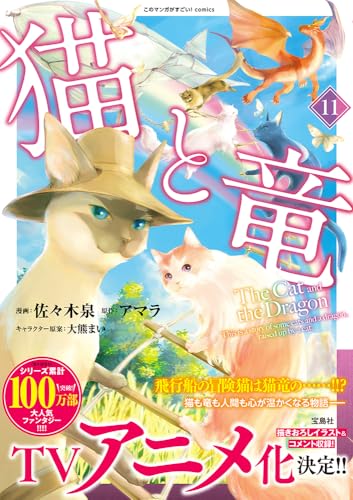 猫と竜 コミックス 11巻 表紙