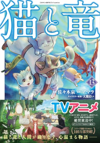 猫と竜 コミックス 13巻 表紙